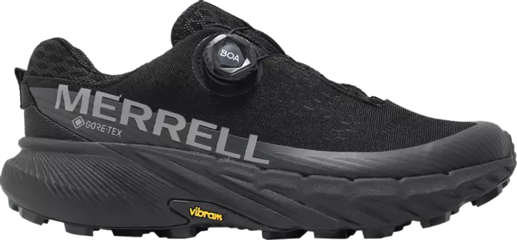 Кроссовки Agility Peak 5 BOA GORE-TEX 'Black', черный