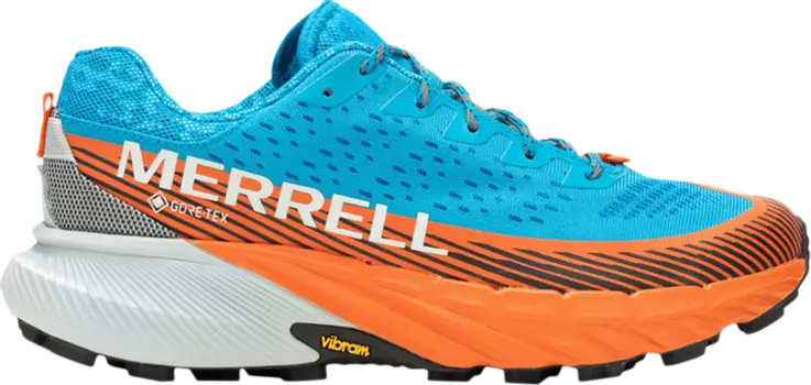 Кроссовки Agility Peak 5 GORE-TEX 'Tahoe Highrise', синий