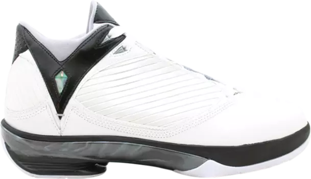 Кроссовки Air Jordan 2009 White Metallic Silver, белый