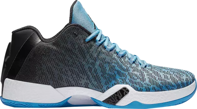 Кроссовки Air Jordan 29 Low UNC, синий