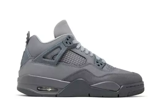 Кроссовки Air Jordan 4 Retro SE GS, цвет Wet Cement