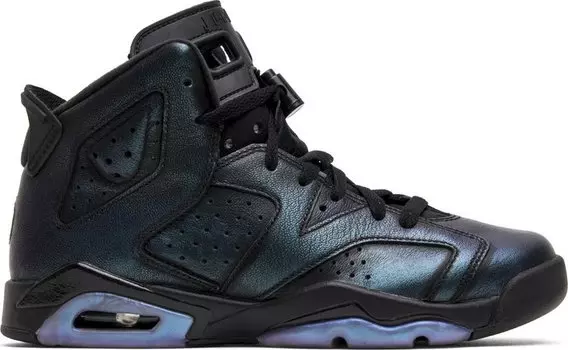 Кроссовки Air Jordan 6 Retro BG All Star - Chameleon, черный