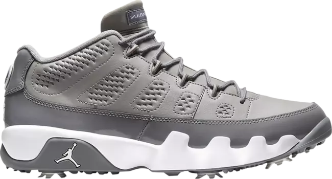Кроссовки Air Jordan 9 Low Golf 'Cool Grey', серый