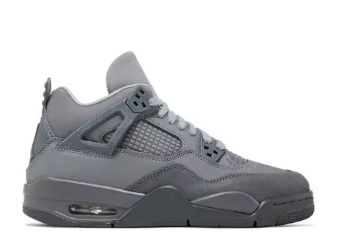 Кроссовки Air Jordan Jordan 4 Retro SE GS, цвет Wet Cement