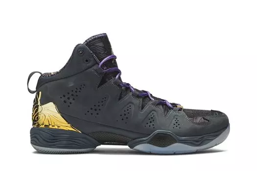 Кроссовки Air Jordan Jordan Melo M10 BHM 'Black History Month', серый