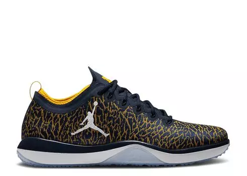 Кроссовки Air Jordan Jordan Trainer 1 Low 'Michigan', синий