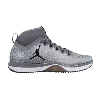 Кроссовки Air Jordan Jordan Trainer 1, серый