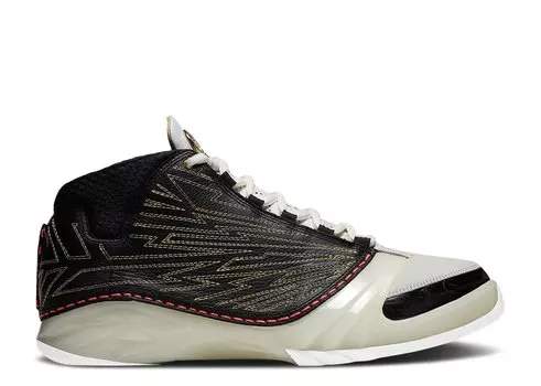 Кроссовки Air Jordan Titan X Air Jordan 23 Retro Sp '10Th Anniversary', черный