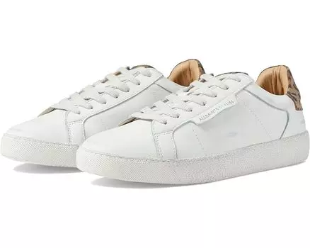 Кроссовки AllSaints Sheer Leopard Sneaker, цвет Off-White/Brown