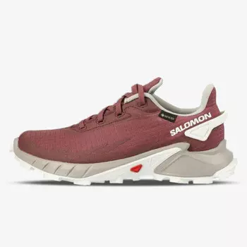 Кроссовки Alphacross 4 GTX W Salomon, розовый