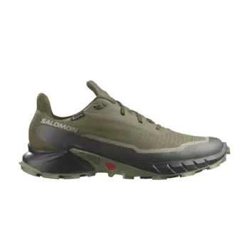 Кроссовки Alphacross 5 GORE-TEX Salomon, зеленый