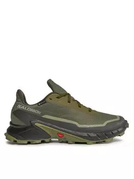 Кроссовки Alphacross 5 Gtx GORE-TEX 473103 29 W0 Salomon, зеленый