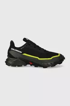 Кроссовки Alphacross 5 GTX Salomon, черный