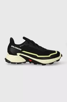 Кроссовки Alphacross 5 GTX Salomon, черный