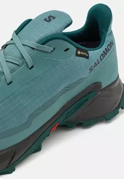 Кроссовки ALPHACROSS 5 GTX Salomon, синий