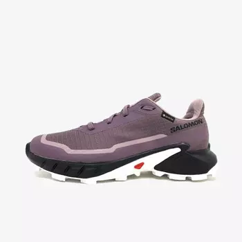 Кроссовки Alphacross 5 с гортексом Salomon, фиолетовый