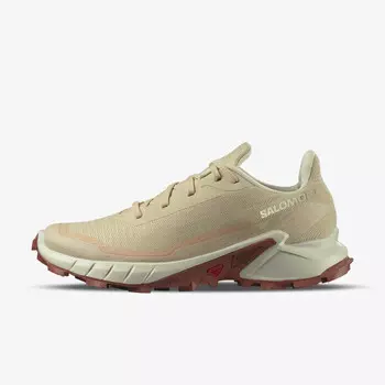Кроссовки Alphacross 5 Salomon, бежевый