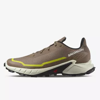 Кроссовки Alphacross 5 Salomon, мультиколор