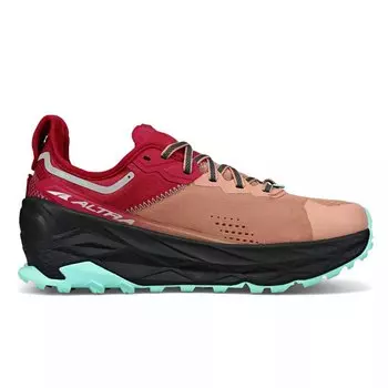 Кроссовки Altra Olympus 5 Trail, коричневый