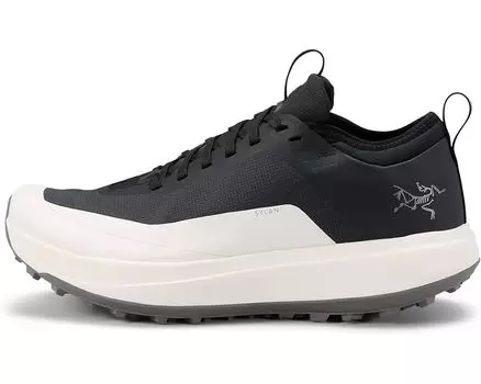 Кроссовки Arc'teryx Sylan GTX, цвет Black/Arctic Silk
