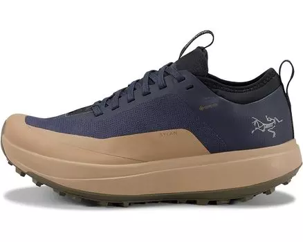 Кроссовки Arc'teryx Sylan GTX, цвет Black Sapphire/Canvas