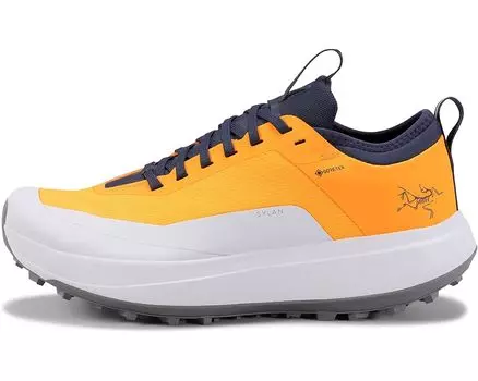 Кроссовки Arc'teryx Sylan GTX, цвет Edziza/Solitude