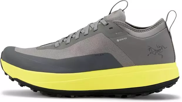 Кроссовки Arc'teryx Sylan GTX, цвет Void/Euphoria