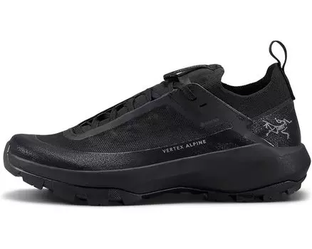 Кроссовки Arc'teryx Vertex Alpine GTX, цвет Black/Black