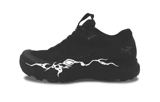 Кроссовки Arcteryx Aerios Fl 2 для активного отдыха, черный / белый