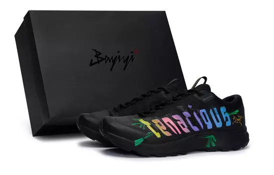 Кроссовки Arcteryx Aerios Fl 2 для активного отдыха, черный