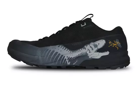 Кроссовки Arcteryx Aerios Fl 2 Outdoor, черный