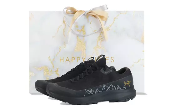 Кроссовки Arcteryx Aerios Fl 2 Outdoor Performance, серый