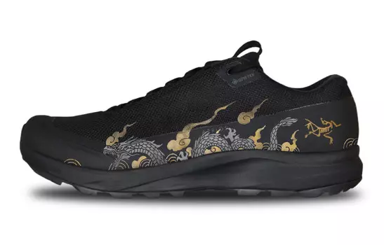 Кроссовки Arcteryx Aerios Fl 2 Outdoor Performance, золотисто-черный