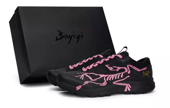 Кроссовки Arcteryx Aerios Fl 2 Outdoor Performance, розовый / черный