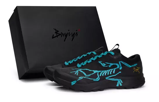 Кроссовки Arcteryx Aerios Fl 2 Outdoor Performance, голубой