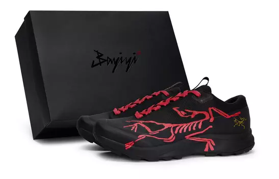 Кроссовки Arcteryx Aerios Fl 2 Outdoor Performance, черный / красный