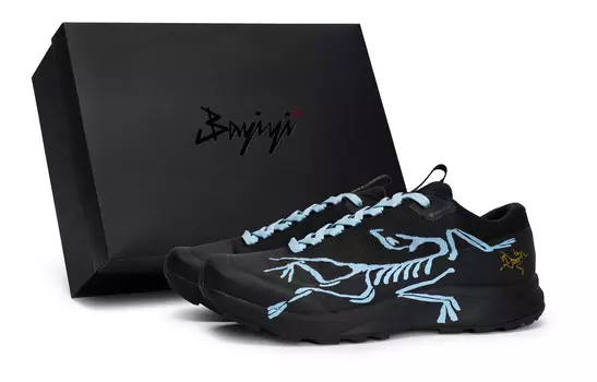 Кроссовки Arcteryx Aerios Fl 2 Outdoor Performance, черный / синий