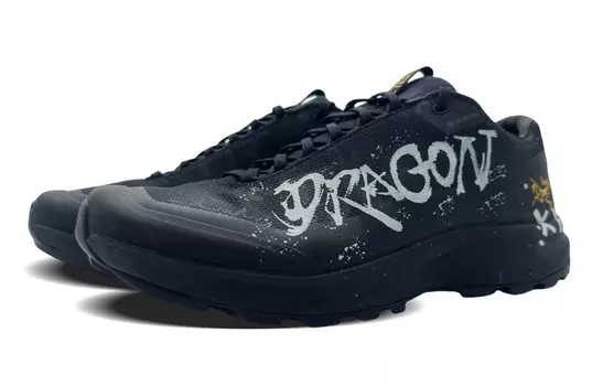 Кроссовки Arcteryx Aerios Fl 2 Outdoor с принтом, черный / серый