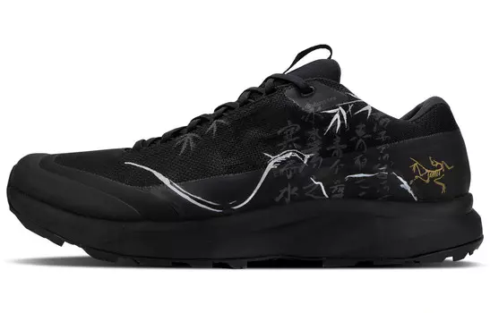Кроссовки Arcteryx Aerios Fl 2 с принтом, черный