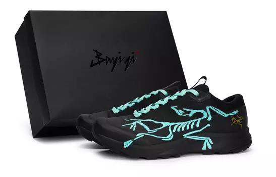 Кроссовки Arcteryx Aerios Fl 2 Tiffany для активного отдыха, черный
