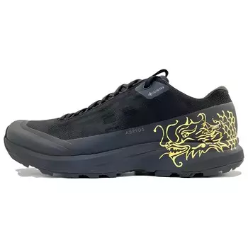 Кроссовки Arcteryx Aerios FL GTX Lifestyle, черный / золотой