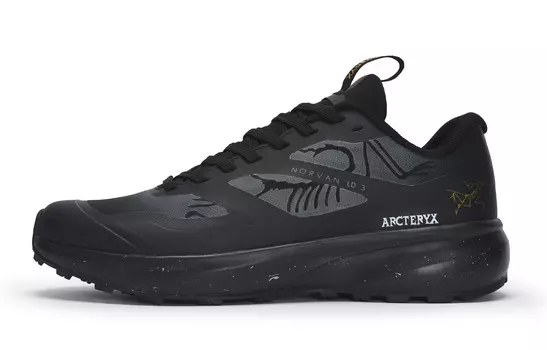 Кроссовки Arcteryx Norvan LD 3 для активного отдыха, серый
