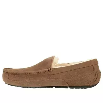 Кроссовки ascot 'chestnut' Ugg, бежевый
