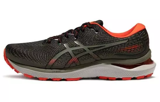 Кроссовки Asics Gel-Cumulus 24 Мужчины