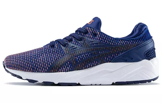 Кроссовки Asics Gel-Kayano Trainer Evo унисекс
