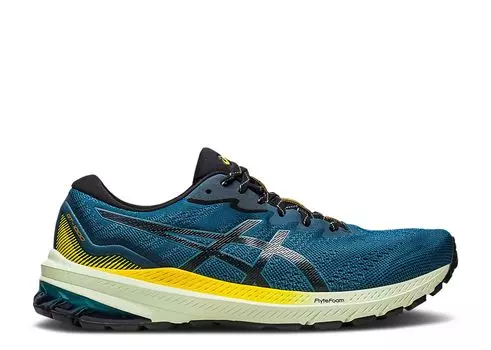 Кроссовки ASICS Gt 1000 11 Tr 'Nature Bathing - Golden Yellow', синий