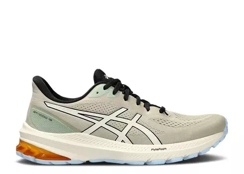 Кроссовки ASICS Gt 1000 12 Tr 'Nature Bathing - Fellow Yellow', серый