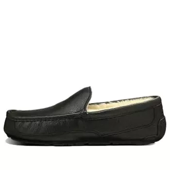 Кроссовки аскот Ugg, черный
