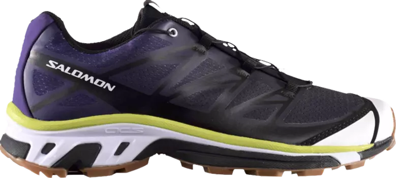 Кроссовки Avnier x S/Lab XT-5 Parachute Purple Lime Gum, фиолетовый