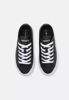 Кроссовки BACKCOURT JUNIOR LACE UNISEX Lacoste, черный